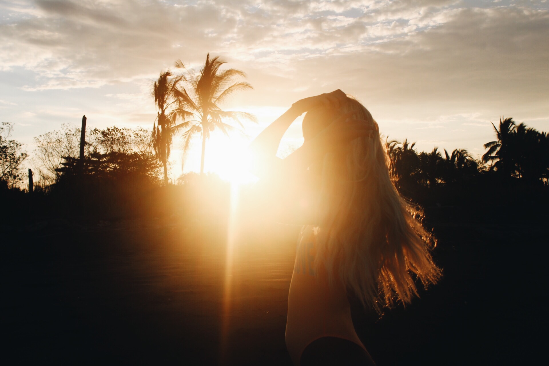 Silhouetted sunset portrait with palm trees on the coast